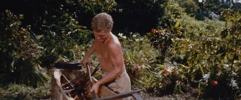 Swiss Family Robinson screenshot 2