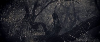 Sword of Vengeance screenshot 1