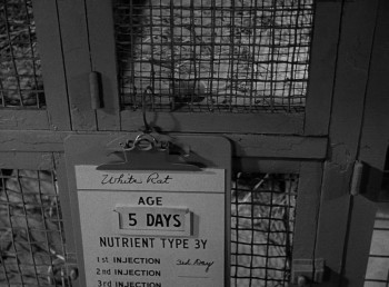 Tarantula screenshot 1