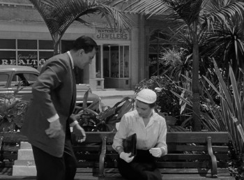 Tarantula screenshot 2