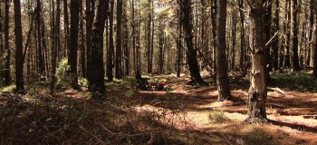 The Backpacker screenshot 1