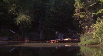 The Burning screenshot 3