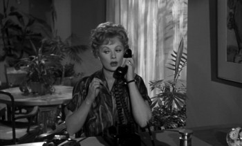 The Facts of Life screenshot 2