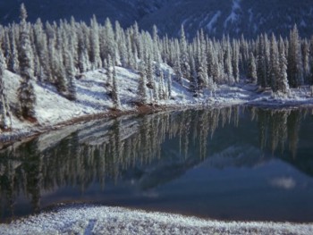 The Further Adventures of the Wilderness Family screenshot 3