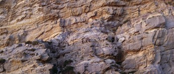 The House of the Spirits screenshot 1