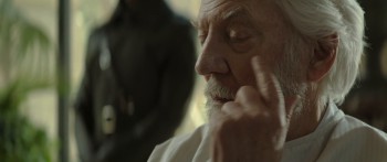 The Hunger Games: Mockingjay - Part 1 screenshot 2