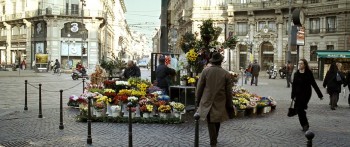 The International screenshot 2