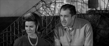 The Last Man on Earth screenshot 2