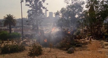 The Little Rascals screenshot 2