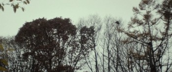 The Lords of Salem screenshot 2