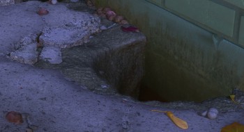 The Nut Job screenshot 2