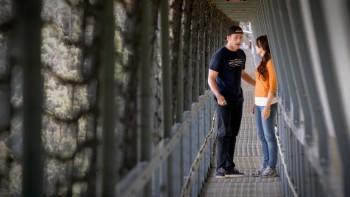 The Perfect Wave screenshot 1