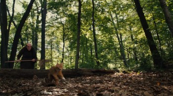 The Smurfs screenshot 1