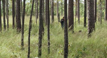 The Starving Games screenshot 2