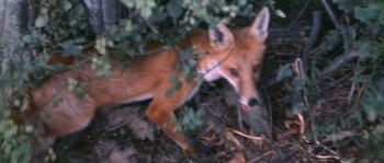 The Tomb of Ligeia screenshot 1