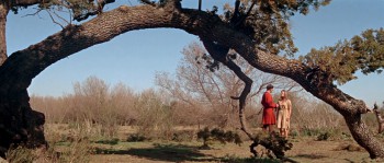 The War Lord screenshot 1