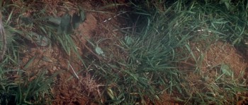 The War Lord screenshot 2