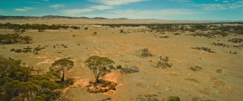 The Water Diviner screenshot 2