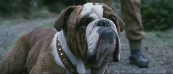 Mein Freund, der Wasserdrache screenshot 3