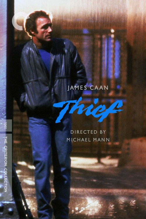 thief cover image