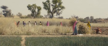 Trishna screenshot 1