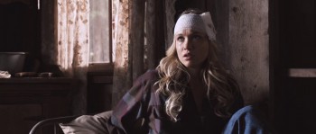 Tucker and Dale vs Evil screenshot 1