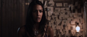 Tucker and Dale vs Evil screenshot 3