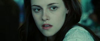 Twilight screenshot 2