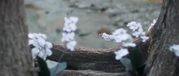 Upstream Color screenshot 2