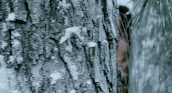 Vikingdom screenshot 1