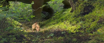 Walking with Dinosaurs 3D screenshot 2