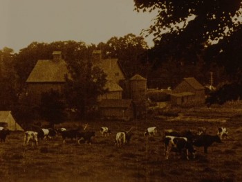 Way Down East screenshot 2