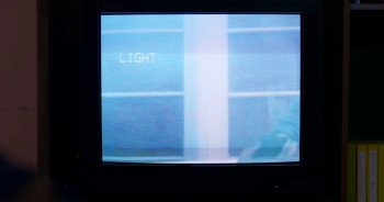 Wild in Blue screenshot 3