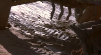 Wild Orchid screenshot 3