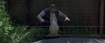 Wild Things screenshot 1