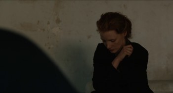 Zero Dark Thirty screenshot 1