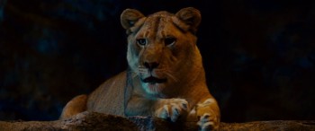 Zookeeper screenshot 1