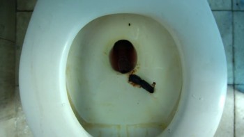 Suburban Gothic screenshot 3