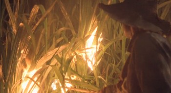 Before Night Falls screenshot 2