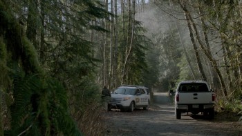 Into the Grizzly Maze screenshot 1