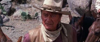 The Train Robbers screenshot 2