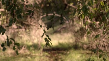 Close Range screenshot 2