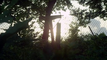 Night of the Wild screenshot 2