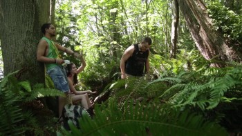 Star Leaf screenshot 2