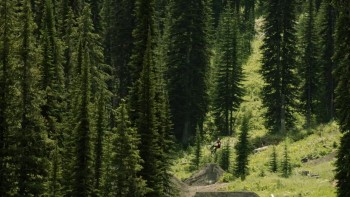 Brandon Semenuk's Rad Company screenshot 1