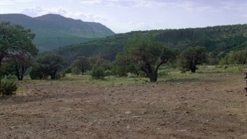 National Lampoon's Vacation screenshot 1