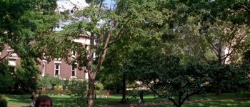 Strange Invaders screenshot 1