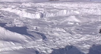 9 Songs screenshot 1