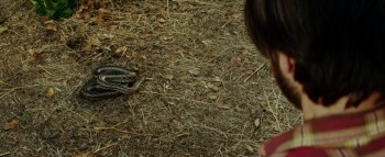 3 Nights in the Desert screenshot 1