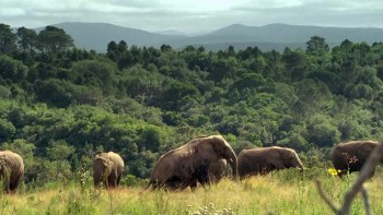 King Solomon's Mines screenshot 1